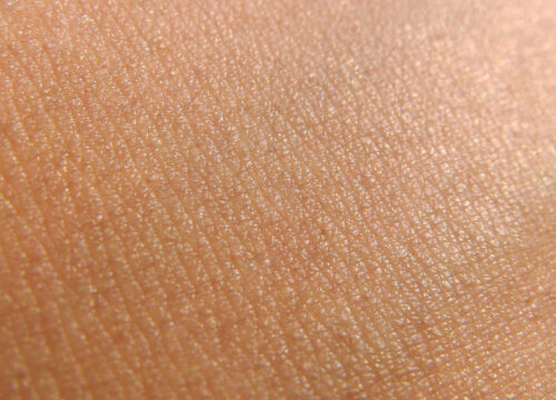 Photo of skin and the skin barrier